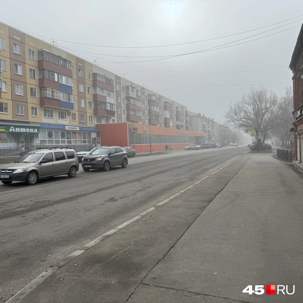 Источник: Юлия Король / 45.RU 