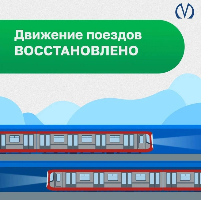 В метро временно не ходили поезда от «Девяткино» до «Академической» | www.fontanka.ru