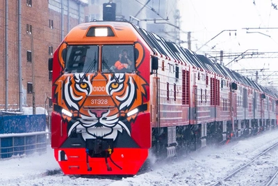 Тепловоз Амурка в тигровой ливрее замечен в Новосибирске