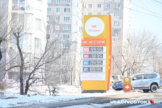 Источник: Елена Буйвол / VLADIVOSTOK1.RU
