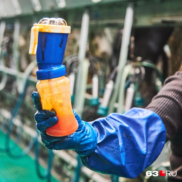 Источник: Роман Данилкин / 63.RU