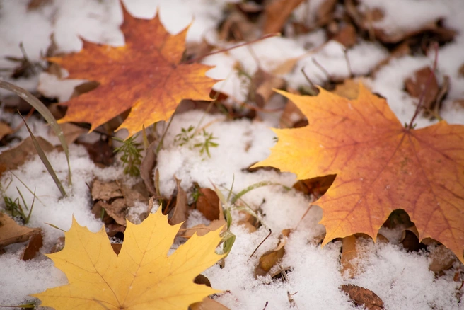 Источник: Лилия Гарипова / Vk.com