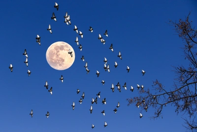 Мистические тайны Нижнего Новгорода