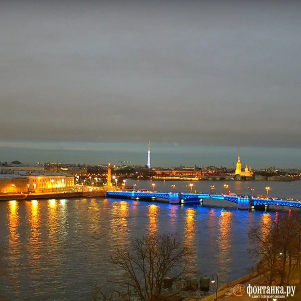 Источник:  скриншот видовой веб-камеры проекта «(От)Личный Петербург»