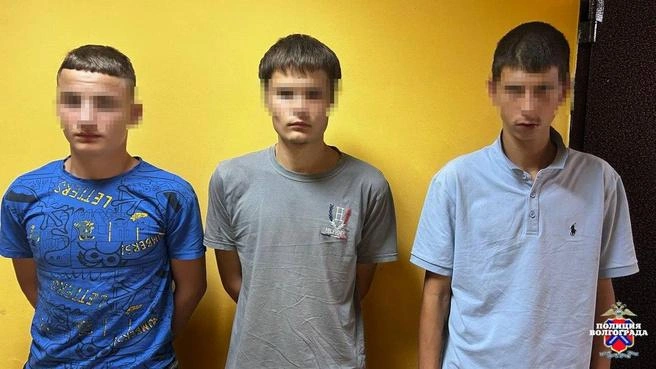 Внятно объяснить свои поступки молодые люди не смогли | Источник: ГУ МВД России по Волгоградской области