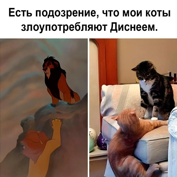 Источник: соцсети