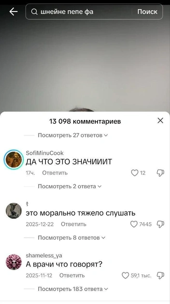 Подписчики тоже не разделяют восхищения | Источник: Tiktok