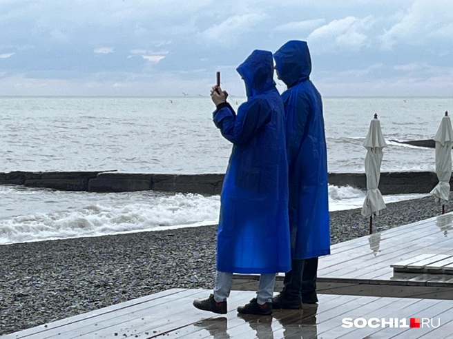 Этим летом в плюсе продавцы дождевиков | Источник: Анна Грицевич / SOCHI1.RU