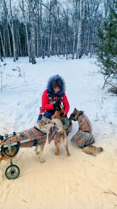 Ольга вывозит своих животных в парк на прогулку | Источник: Ольга Козырева