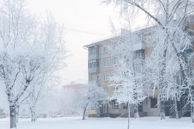 Yaroslavl Oblast Braces for Anomalous Frosts