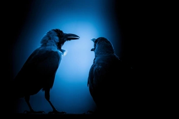 Как научиться смотреть на ситуацию глазами другого человека: 4 простых шага