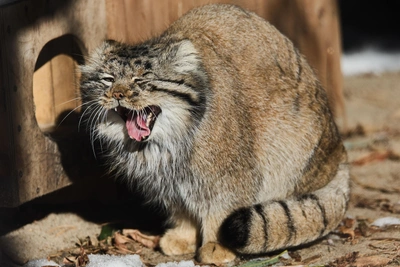 С 5 марта новосибирский зоопарк вводит весенний график