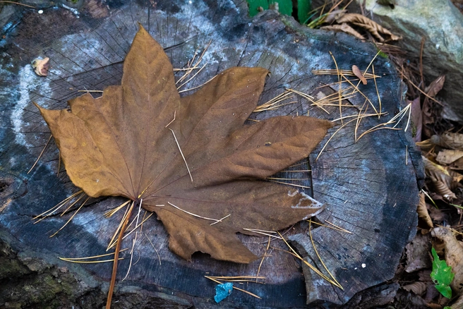 Также ожидается усиление ветра | Источник: Елена Буйвол / VLADIVOSTOK1.RU