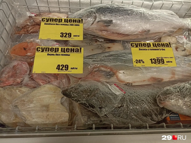 Источник: Иван Митюшёв / 29.RU