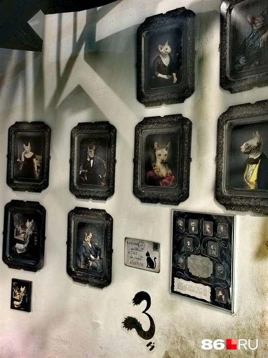 А вот и обитатели музея | Источник: Анастасия Шевякова / 86.RU