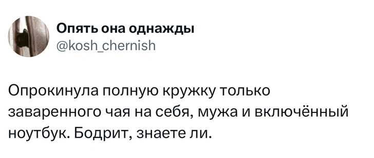 Шутки пятницы и «нужен санокс»