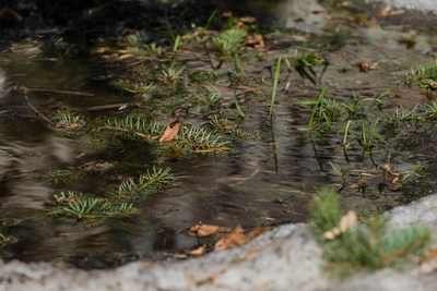 Март в Перми оказался теплее апрельского