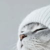 userpic__innnakushnsar