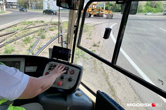 В Магнитогорске закроют движение трамваев на одной из основных улиц из-за обрезки деревьев
