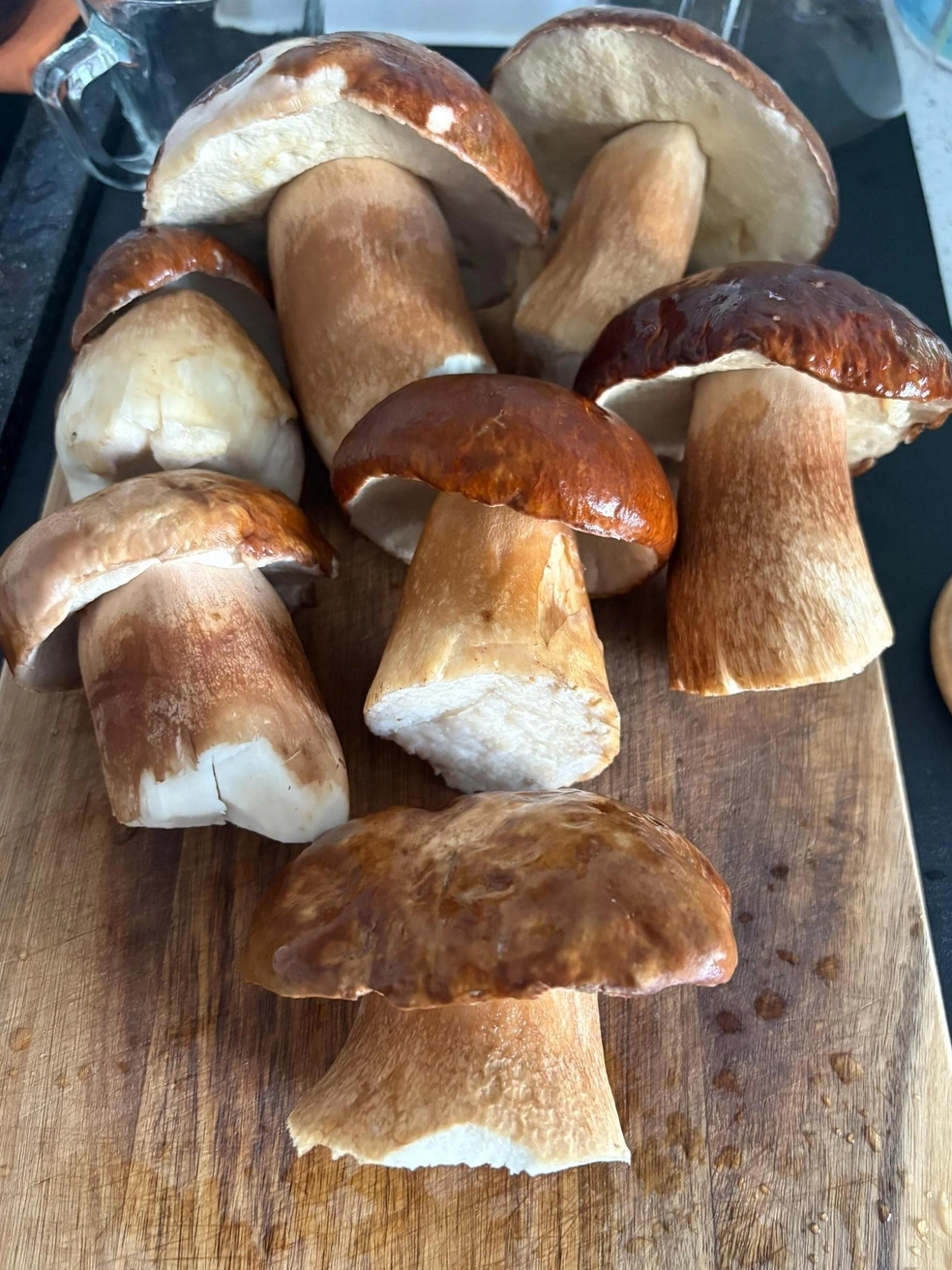 Отменный улов (он же — на заглавном фото) из Красноармейского района | Источник: Грибы Челябинской области / Vk.com