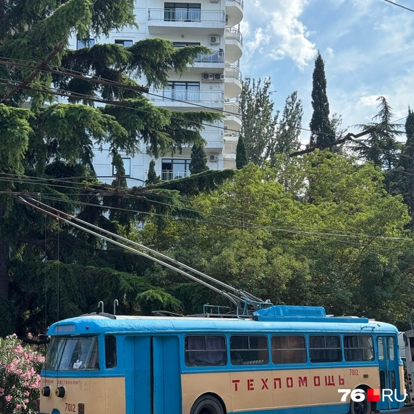 В Крыму работает техпомощь «Шкода» | Источник: Светлана Лебедева