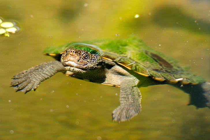 Источник: Photography by Rob D via Shutterstock/Fotodom.ru