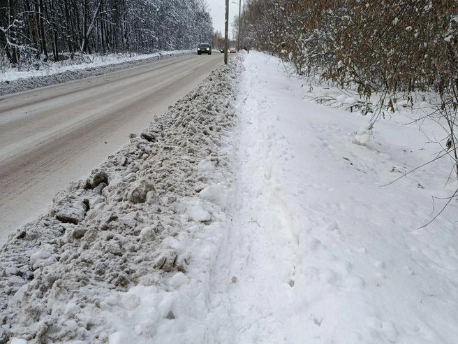 Пройти можно лишь по узкой тропинке | Источник: читатели НГС