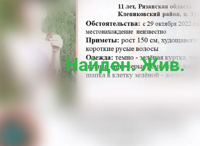 Пропавшего в Туме 11-летнего ребенка нашли живым | ya62.ru