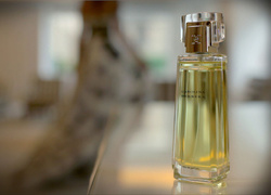 Классическому аромату Carolina Herrera – 25 лет
