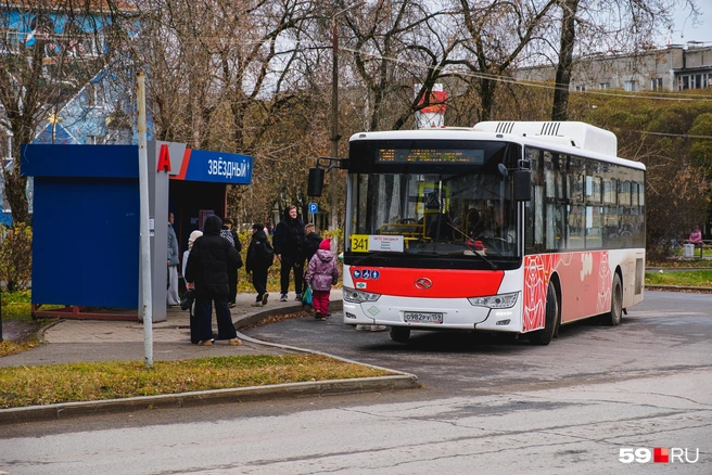 Автобусы из Звёздного отправляются в Пермь каждые 20 минут | Источник: Тимофей Калмаков / 59.RU