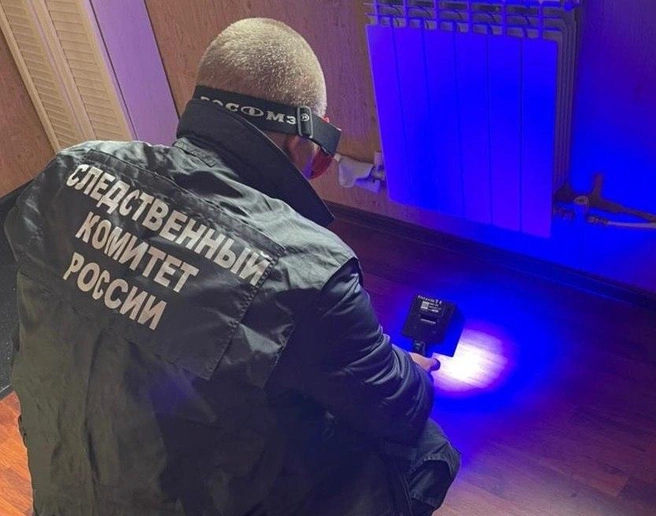 Источник: пресс-служба СУ СКР по Курганской области