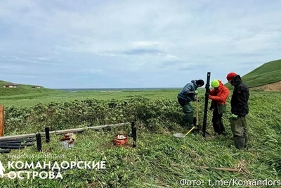 На Камчатке набирают волонтёров на остров Беринг