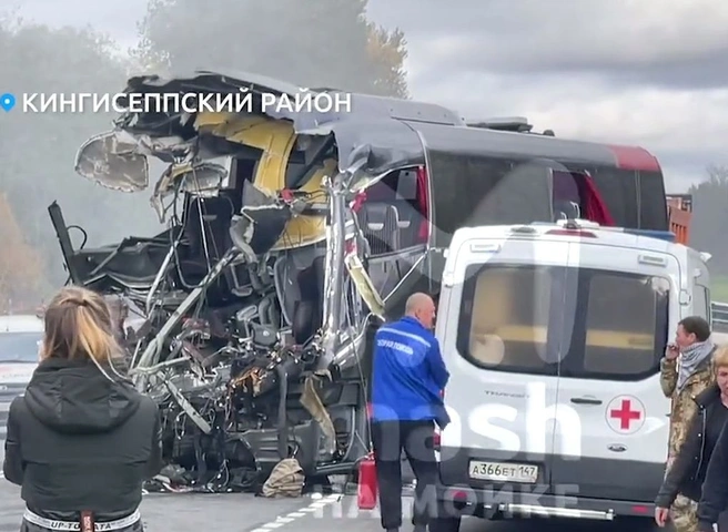 В Ленинградской области произошло смертельное ДТП с автобусом | ya62.ru