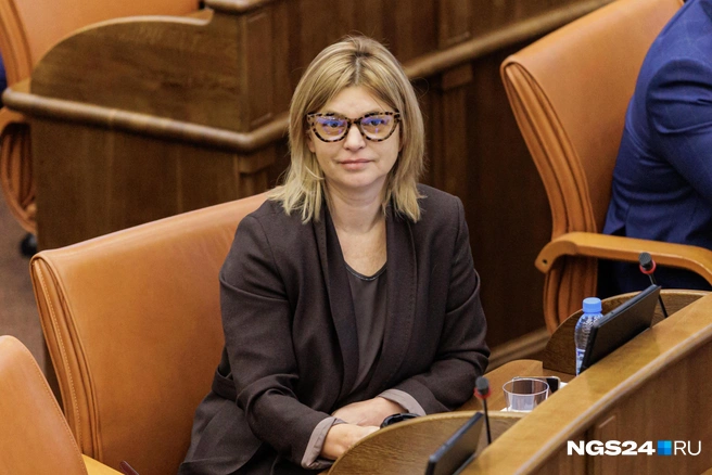 Появление дронов в Сибири она связала с миграцией украинцев после 2014 года | Источник: Мария Ленц / NGS24.RU