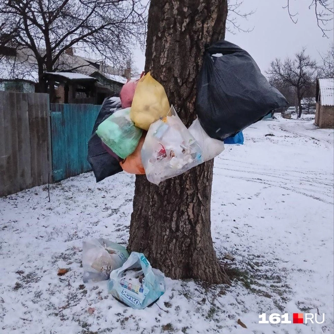 На фото видно, что мусор скопился за несколько дней | Источник: читатель 161.RU