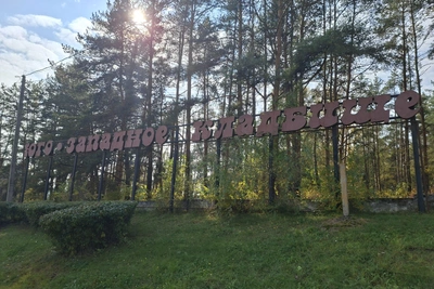 В Воронеже на праздники запустят дополнительные автобусы до кладбищ