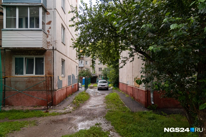 Внезапно | Источник: Мария Ленц / NGS24.RU