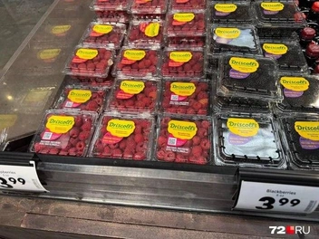 Маленькая коробочка (170 г) малины или ежевики&nbsp;— 405 рублей (3,99). Это 2024 год | Источник: читатель 72.RU