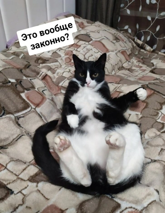 Источник: Анна Могильникова