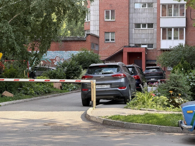 Водители нашли самое удачное место для стоянки авто | Источник: читательница НГС