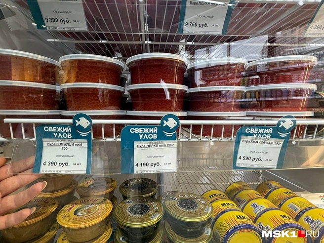Для многих москвичей икра — это продукт, на который приходится отдельно закладывать деньги в семейном бюджете | Источник: Артем Устюжанин / MSK1.RU