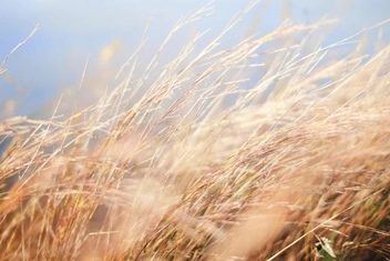 Тест: Каким ветром вы дышите?