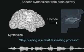 Найден способ воспроизводить речь по активности мозга