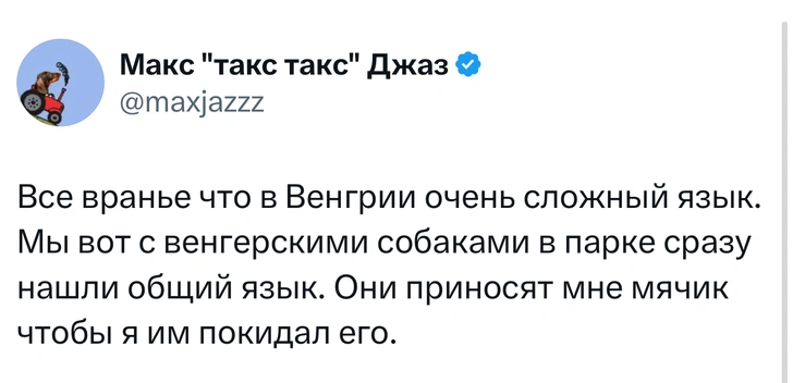 Источник: X (Twitter)