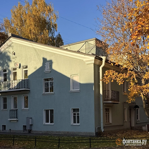 Источник: Елена Николаева