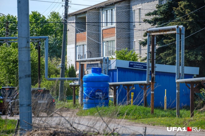 Улица Цветы Башкирии | Источник: Булат Салихов / UFA1.RU