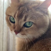 userpic__avamelex