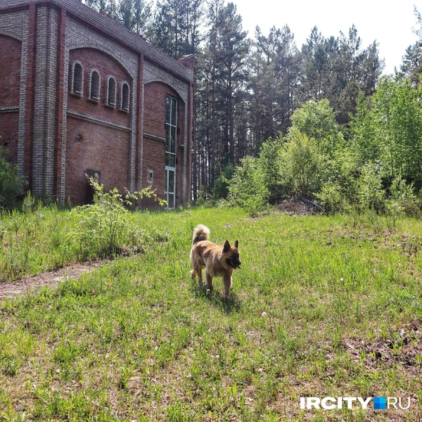 Источник: Алёна Кашпарова / IRCITY.RU
