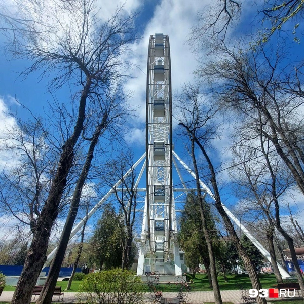 Источник: Максим Дмитриев / 93.RU