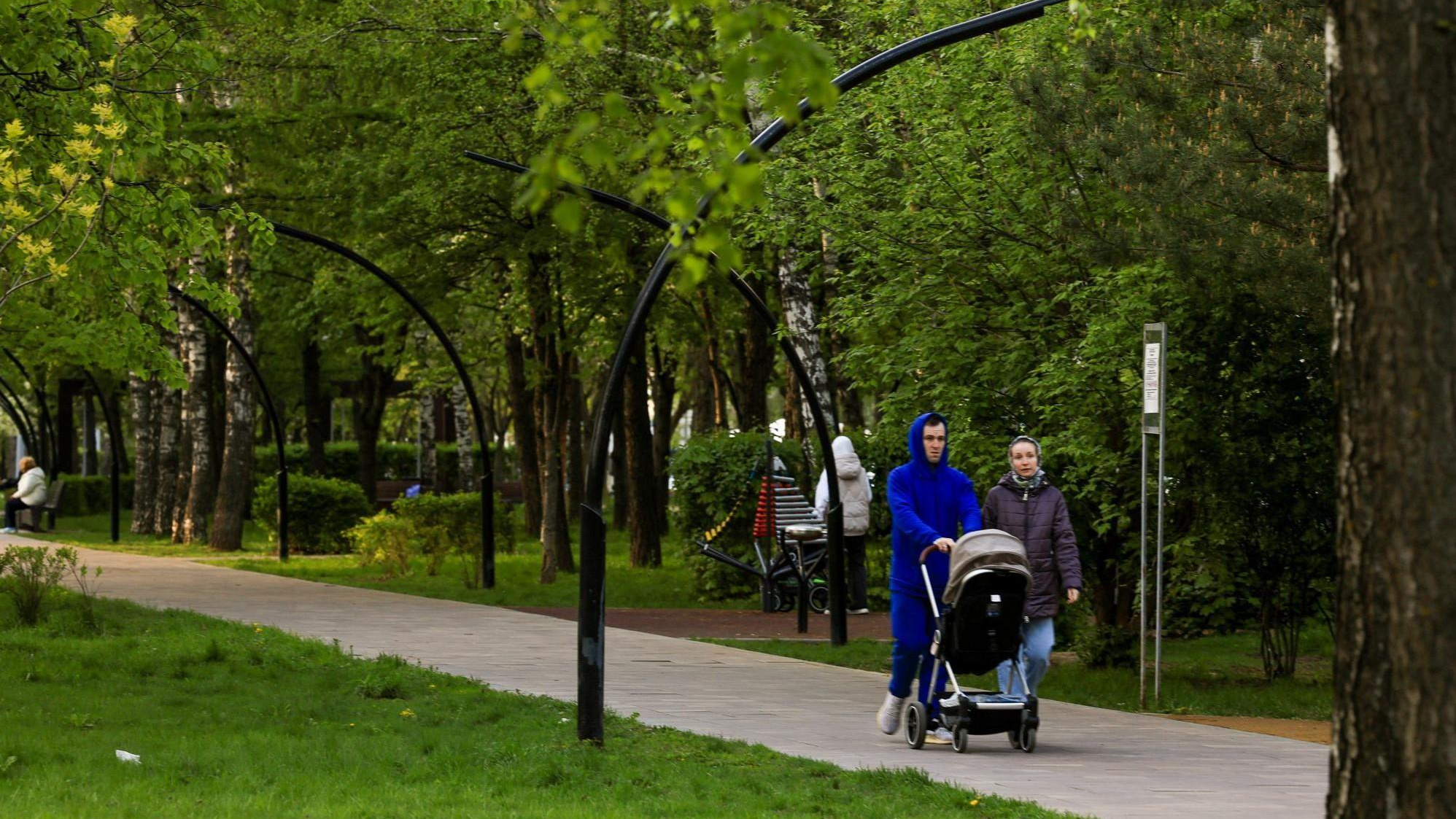 В Госдуме предложили новую схему выплаты маткапитала: он станет еще больше 